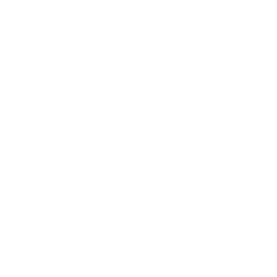 Brand Logo 2
